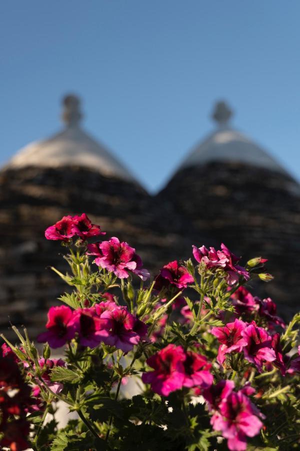 Вилла Trulli Ulivi Путиньяно Экстерьер фото