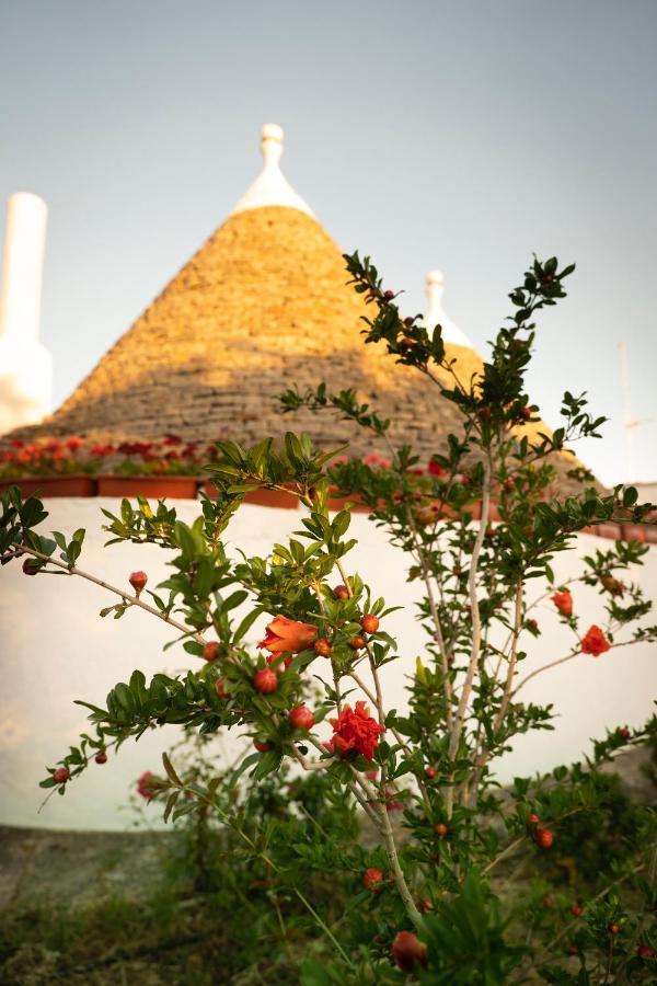 Вилла Trulli Ulivi Путиньяно Экстерьер фото